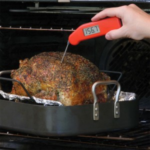 I have yet to discover a thermometer that works nearly as well as the Thermapen from ThermoWorks.
